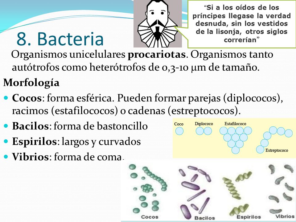 Si a los oídos de los príncipes llegase la verdad desnuda, sin los vestidos de la lisonja, otros siglos correrían
