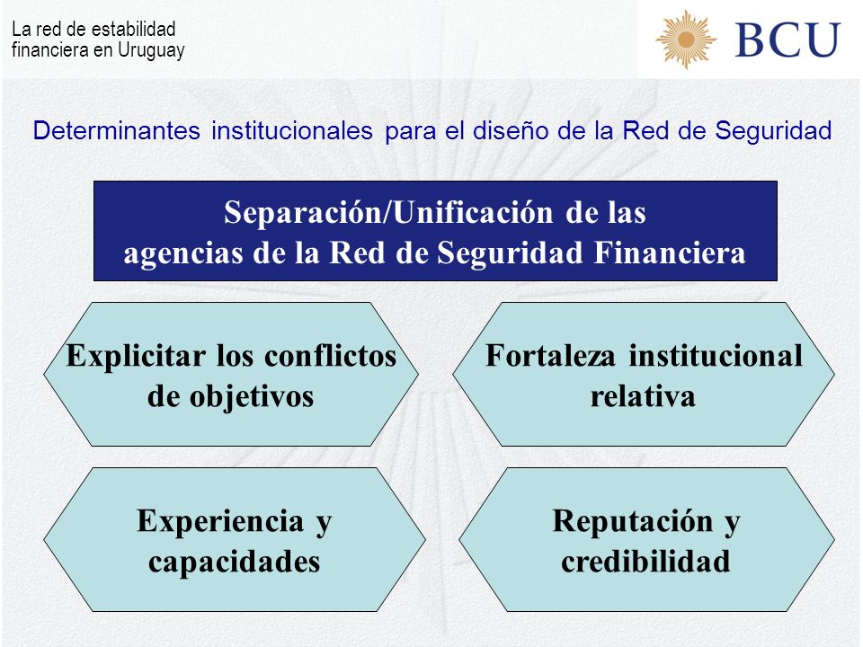 Determinantes institucionales para el diseño de la Red de Seguridad