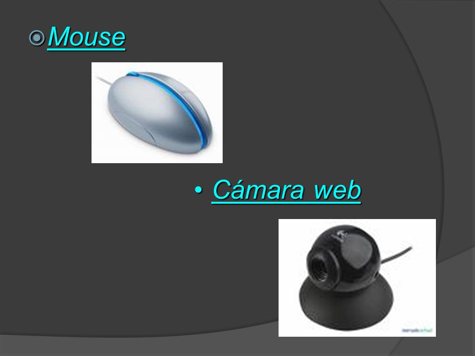 Mouse Cámara web