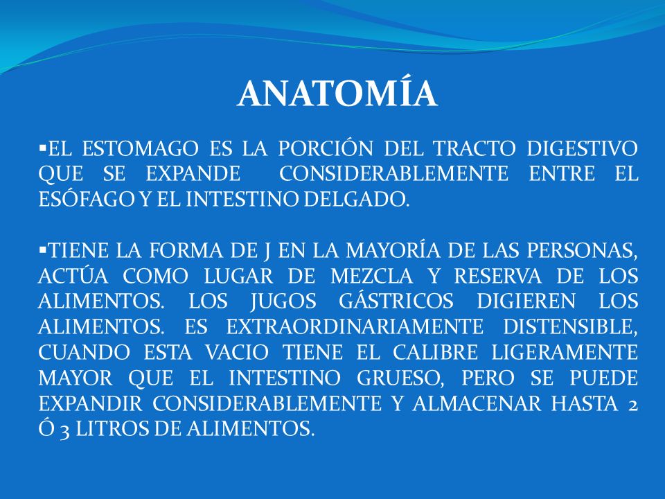ANATOMÍA EL ESTOMAGO ES LA PORCIÓN DEL TRACTO DIGESTIVO QUE SE EXPANDE CONSIDERABLEMENTE ENTRE EL ESÓFAGO Y EL INTESTINO DELGADO.