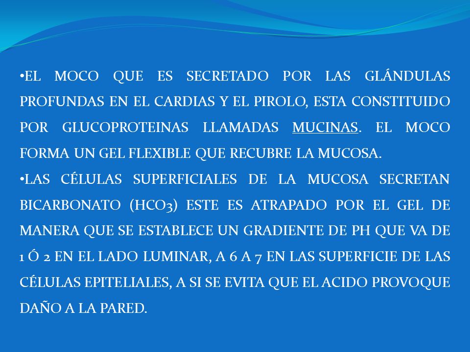 EL MOCO QUE ES SECRETADO POR LAS GLÁNDULAS PROFUNDAS EN EL CARDIAS Y EL PIROLO, ESTA CONSTITUIDO POR GLUCOPROTEINAS LLAMADAS MUCINAS. EL MOCO FORMA UN GEL FLEXIBLE QUE RECUBRE LA MUCOSA.