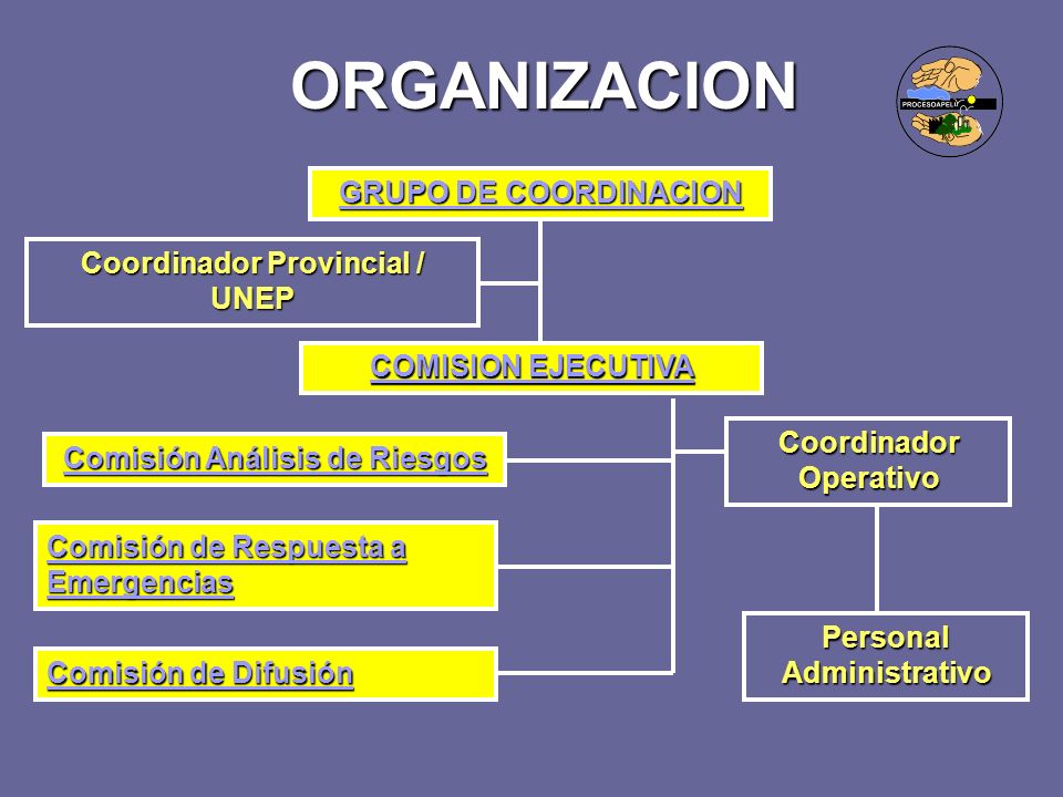 ORGANIZACION GRUPO DE COORDINACION Coordinador Provincial / UNEP