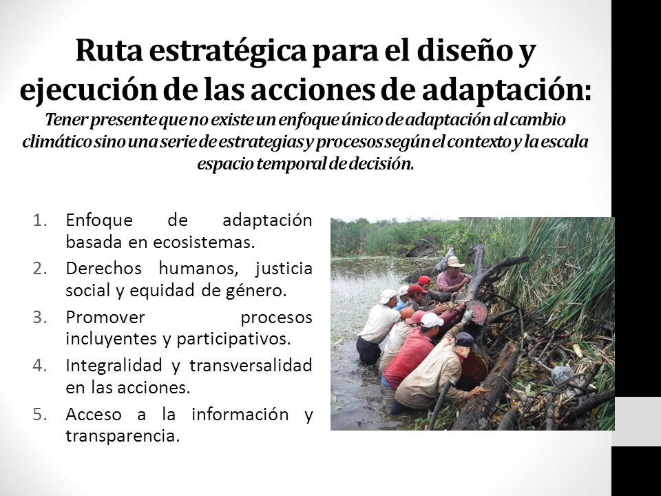Ruta estratégica para el diseño y ejecución de las acciones de adaptación: Tener presente que no existe un enfoque único de adaptación al cambio climático sino una serie de estrategias y procesos según el contexto y la escala espacio temporal de decisión.