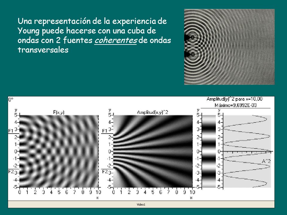 Una representación de la experiencia de Young puede hacerse con una cuba de ondas con 2 fuentes coherentes de ondas transversales