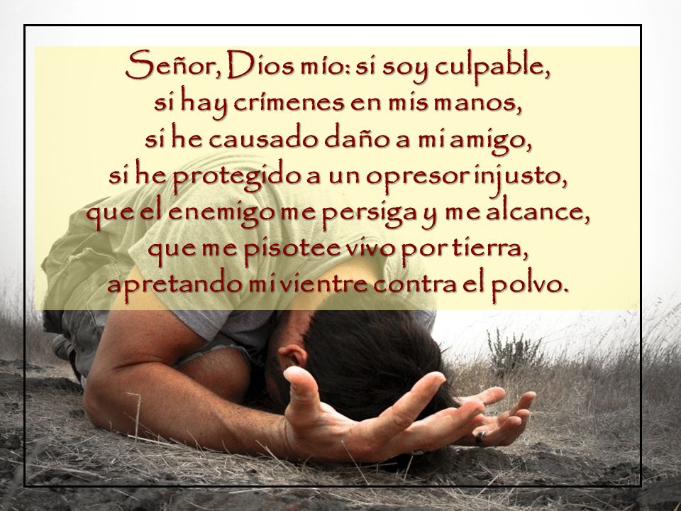 Señor, Dios mío: si soy culpable, si hay crímenes en mis manos,