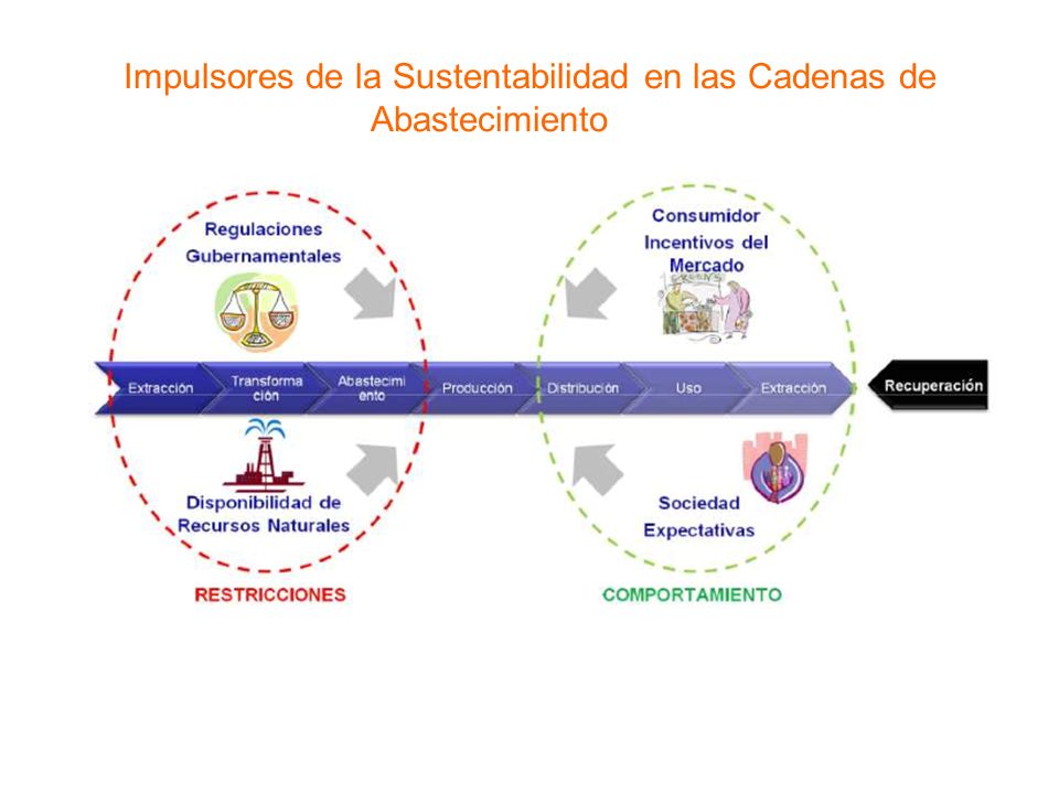 Impulsores de la Sustentabilidad en las Cadenas de Abastecimiento