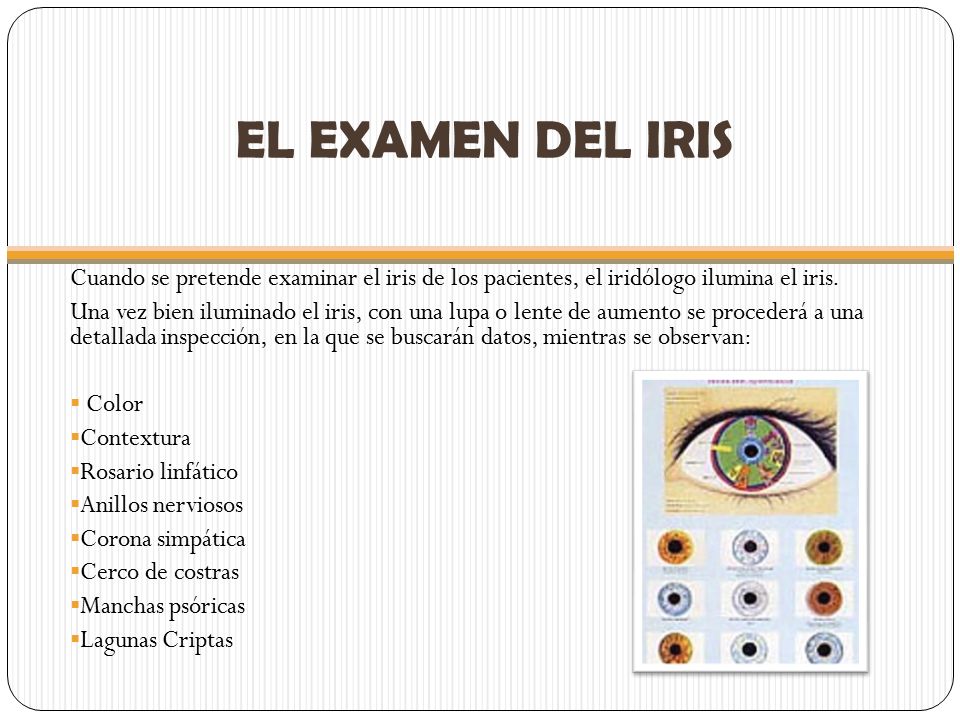 EL EXAMEN DEL IRIS Cuando se pretende examinar el iris de los pacientes, el iridólogo ilumina el iris.