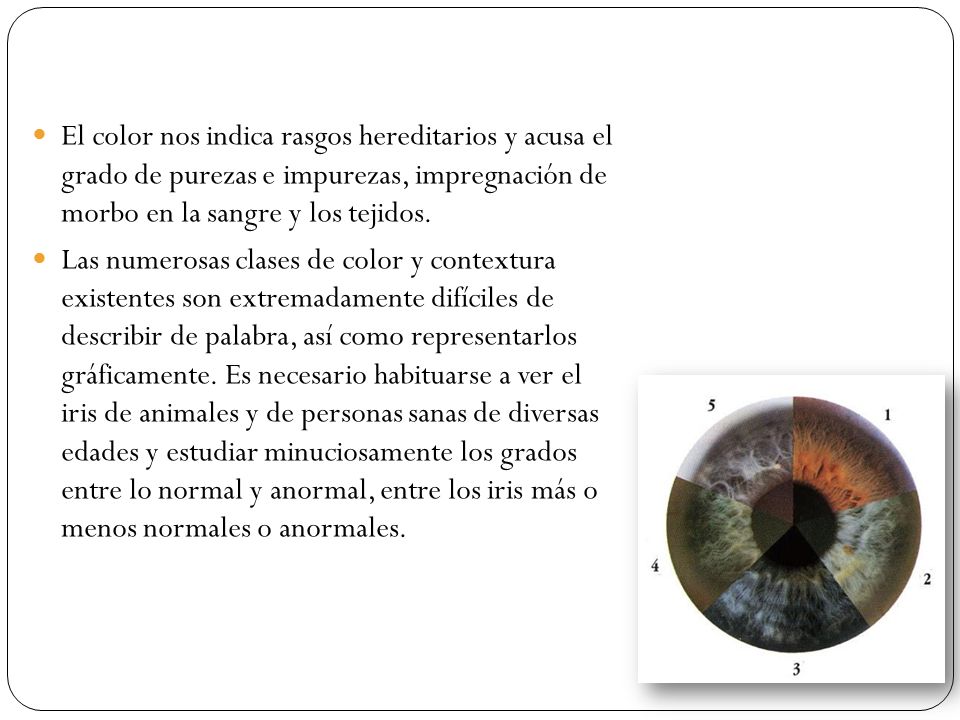 El color nos indica rasgos hereditarios y acusa el grado de purezas e impurezas, impregnación de morbo en la sangre y los tejidos.
