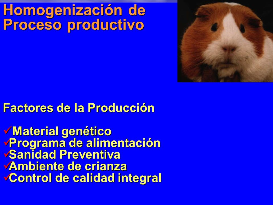 Homogenización de Proceso productivo Factores de la Producción