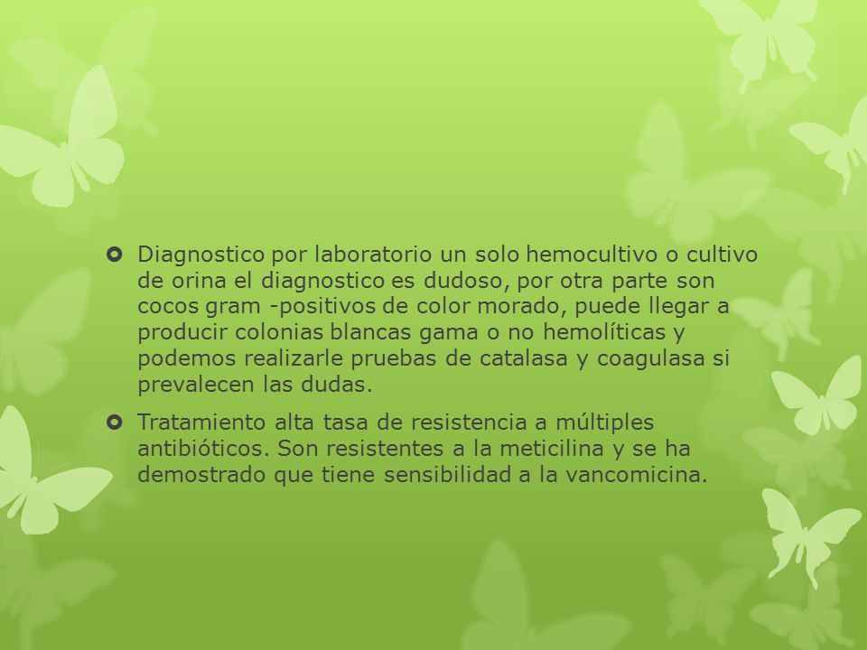 Diagnostico por laboratorio un solo hemocultivo o cultivo de orina el diagnostico es dudoso, por otra parte son cocos gram -positivos de color morado, puede llegar a producir colonias blancas gama o no hemolíticas y podemos realizarle pruebas de catalasa y coagulasa si prevalecen las dudas.