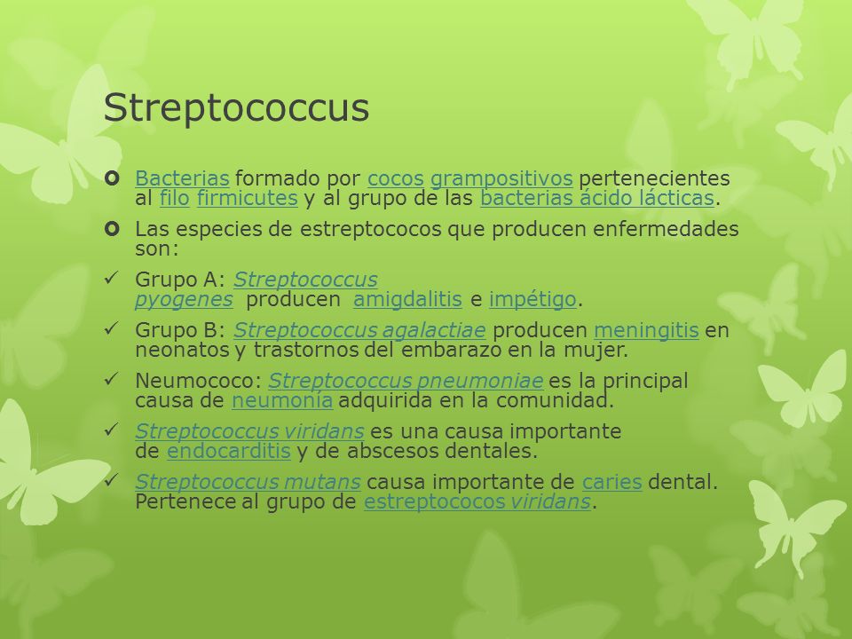 Streptococcus Bacterias formado por cocos grampositivos pertenecientes al filo firmicutes y al grupo de las bacterias ácido lácticas.
