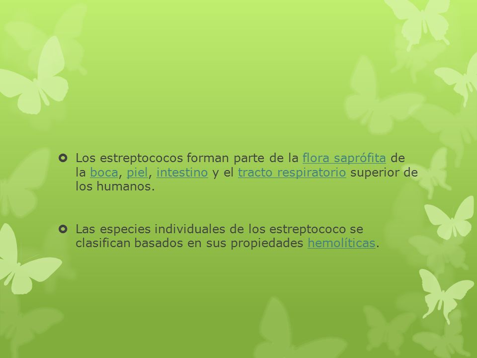 Los estreptococos forman parte de la flora saprófita de la boca, piel, intestino y el tracto respiratorio superior de los humanos.