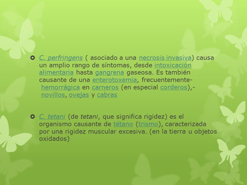 C. perfringens ( asociado a una necrosis invasiva) causa un amplio rango de síntomas, desde intoxicación alimentaria hasta gangrena gaseosa. Es también causante de una enterotoxemia, frecuentemente- hemorrágica en carneros (en especial corderos),- novillos, ovejas y cabras