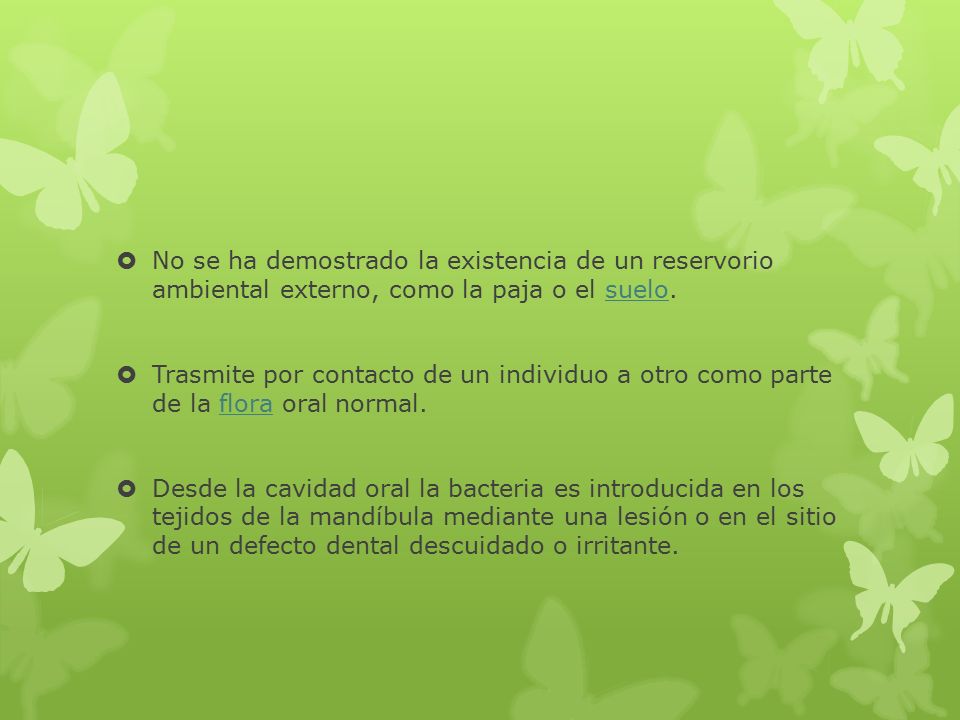 No se ha demostrado la existencia de un reservorio ambiental externo, como la paja o el suelo.