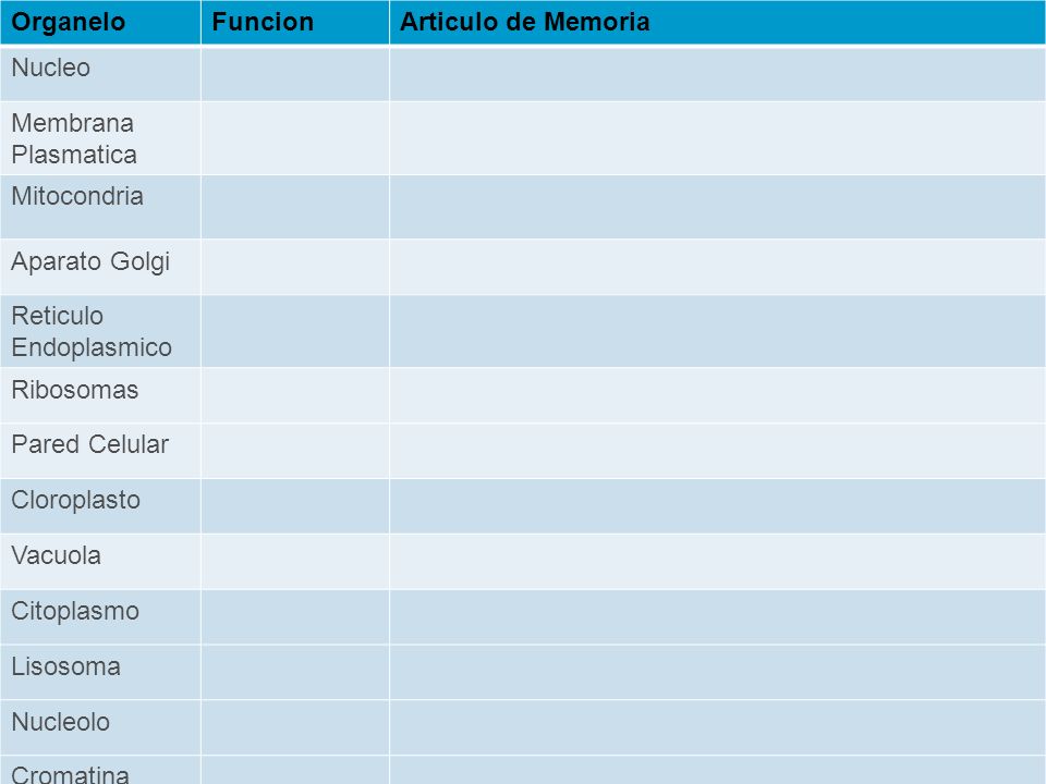 Organelo Funcion. Articulo de Memoria. Nucleo. Membrana Plasmatica. Mitocondria. Aparato Golgi.