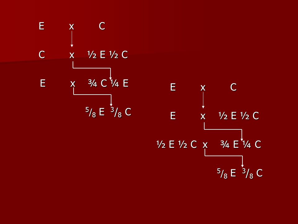E x C C x ½ E ½ C. E x ¾ C ¼ E. 5/8 E 3/8 C. E x C.