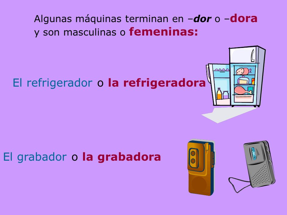 El refrigerador o la refrigeradora