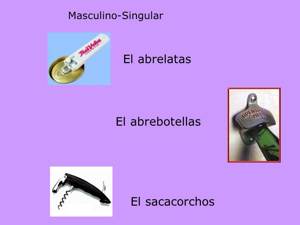 Masculino-Singular El abrelatas El abrebotellas El sacacorchos