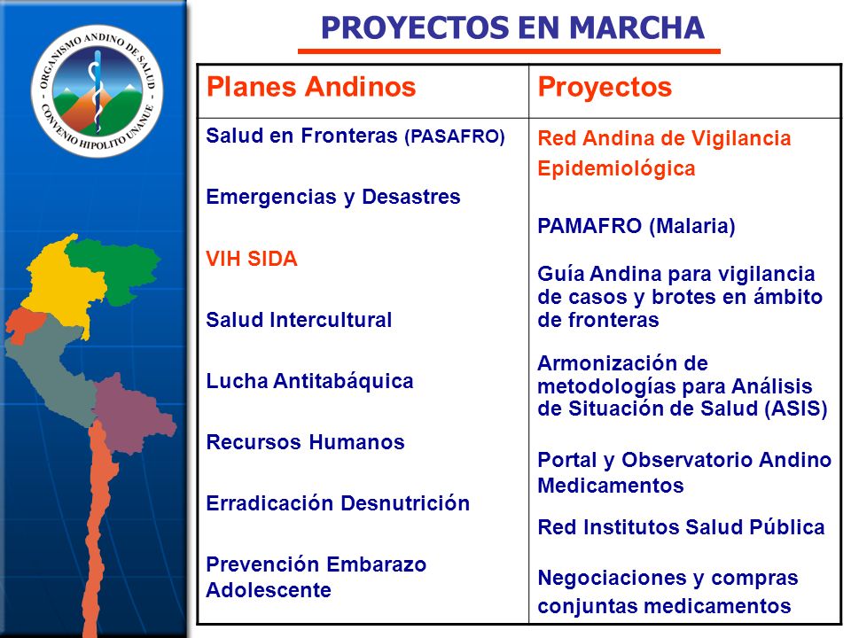 PROYECTOS EN MARCHA Planes Andinos Proyectos