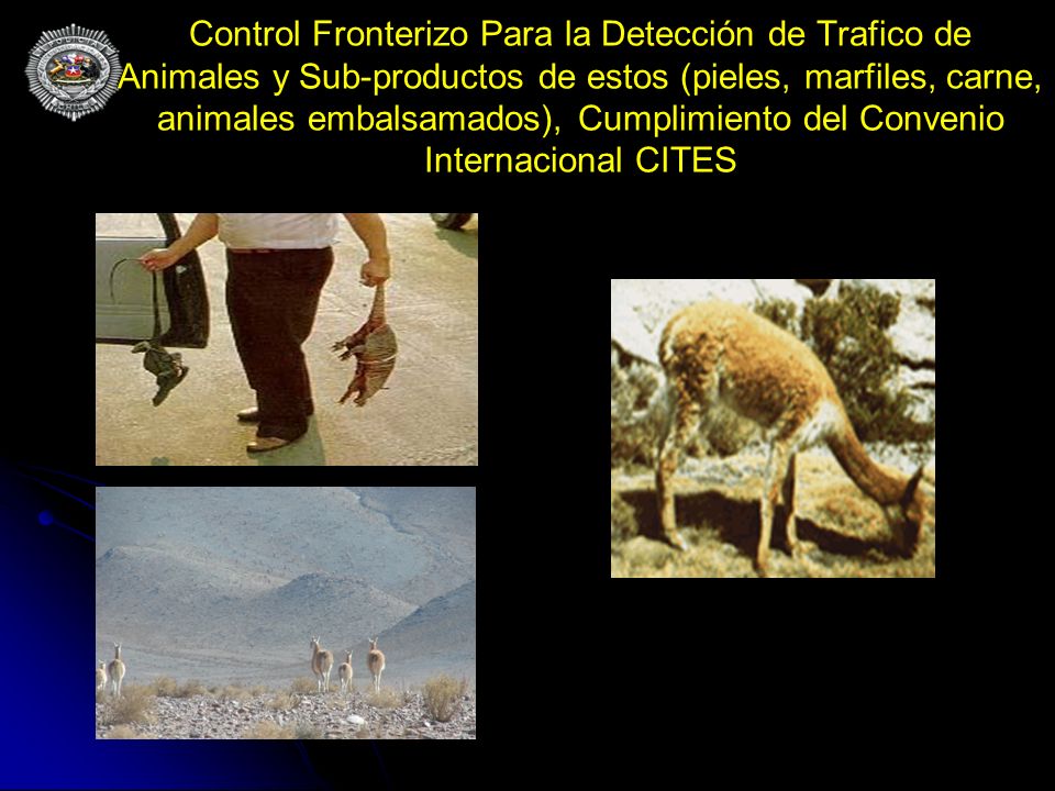Control Fronterizo Para la Detección de Trafico de Animales y Sub-productos de estos (pieles, marfiles, carne, animales embalsamados), Cumplimiento del Convenio Internacional CITES