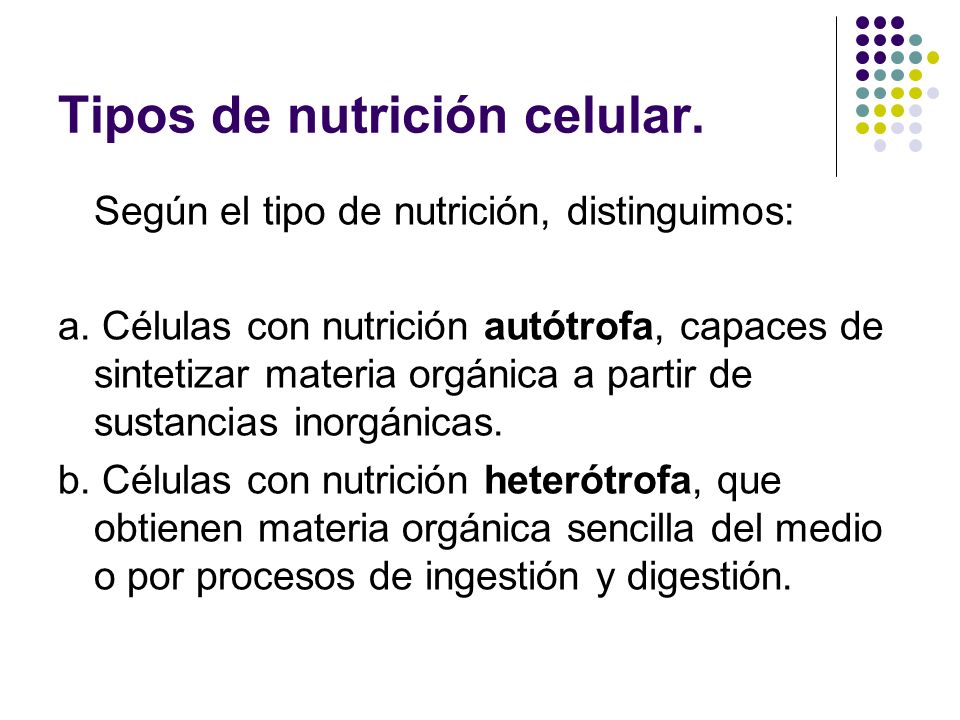 FUNCIONES DE NUTRICIÓN - ppt descargar