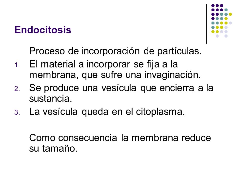 Endocitosis Proceso de incorporación de partículas.