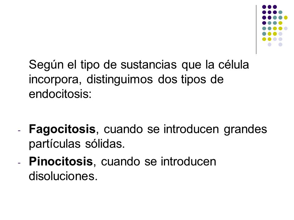 Según el tipo de sustancias que la célula incorpora, distinguimos dos tipos de endocitosis: