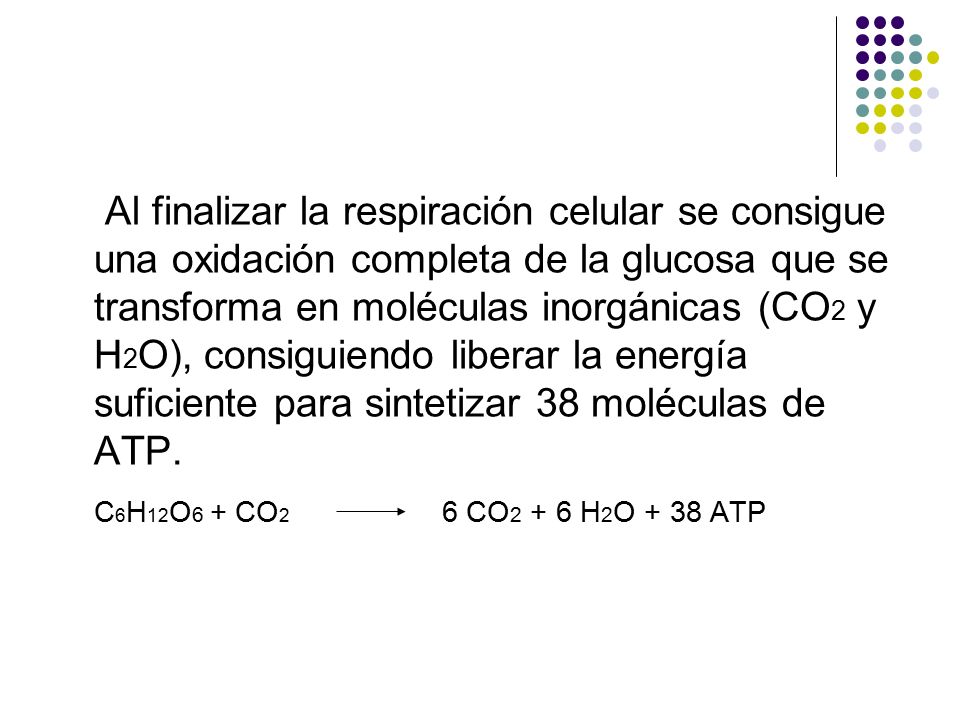 Al finalizar la respiración celular se consigue una oxidación completa de la glucosa que se transforma en moléculas inorgánicas (CO2 y H2O), consiguiendo liberar la energía suficiente para sintetizar 38 moléculas de ATP.