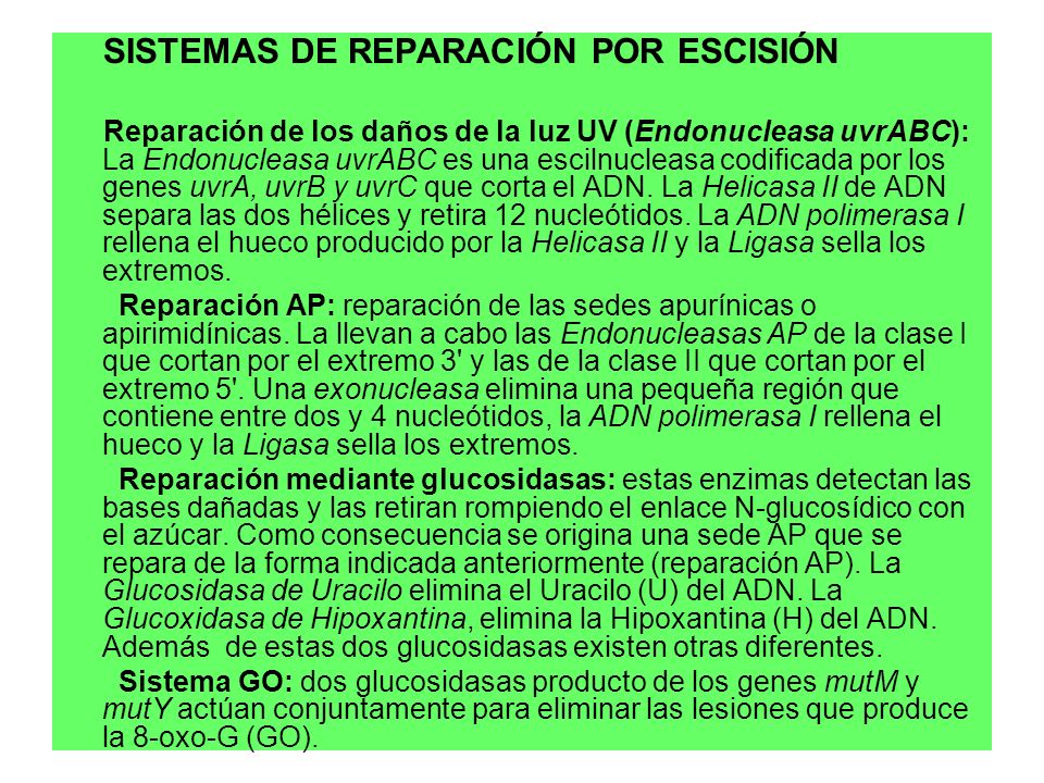 SISTEMAS DE REPARACIÓN POR ESCISIÓN Reparación de los daños de la luz UV (Endonucleasa uvrABC): La Endonucleasa uvrABC es una escilnucleasa codificada por los genes uvrA, uvrB y uvrC que corta el ADN.