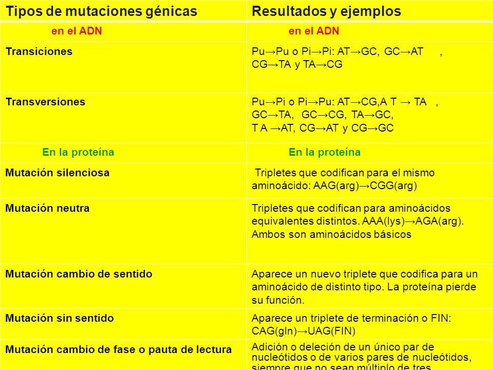 Tipos de mutaciones génicas Resultados y ejemplos
