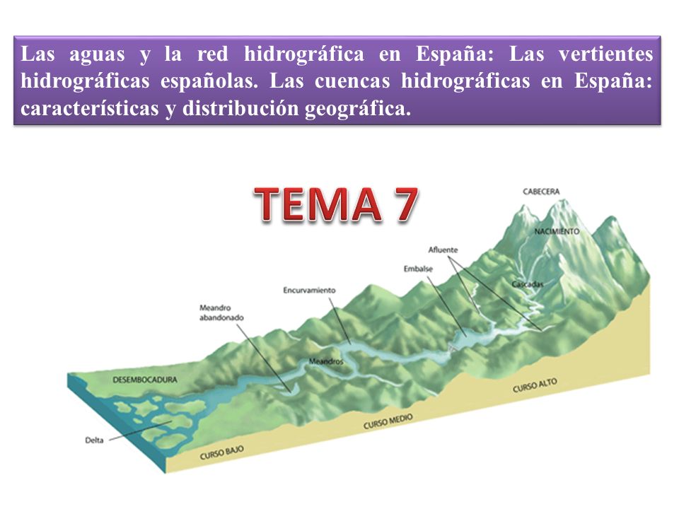Las aguas y la red hidrográfica en España: Las vertientes hidrográficas españolas. Las cuencas hidrográficas en España: características y distribución geográfica.