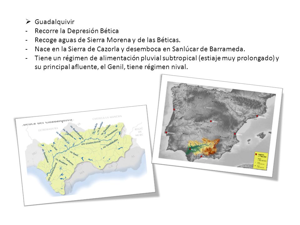 Guadalquivir Recorre la Depresión Bética. Recoge aguas de Sierra Morena y de las Béticas.