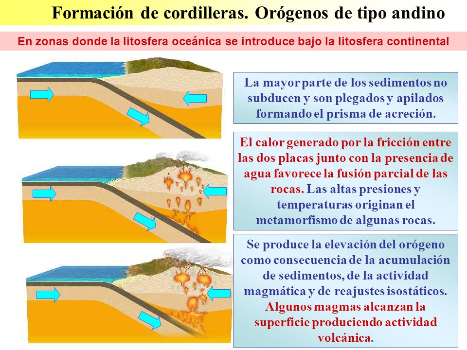 Formación de cordilleras. Orógenos de tipo andino