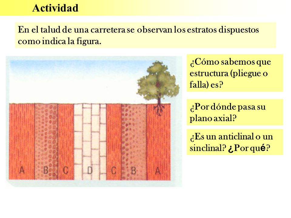 Actividad En el talud de una carretera se observan los estratos dispuestos como indica la figura. ¿Cómo sabemos que estructura (pliegue o falla) es