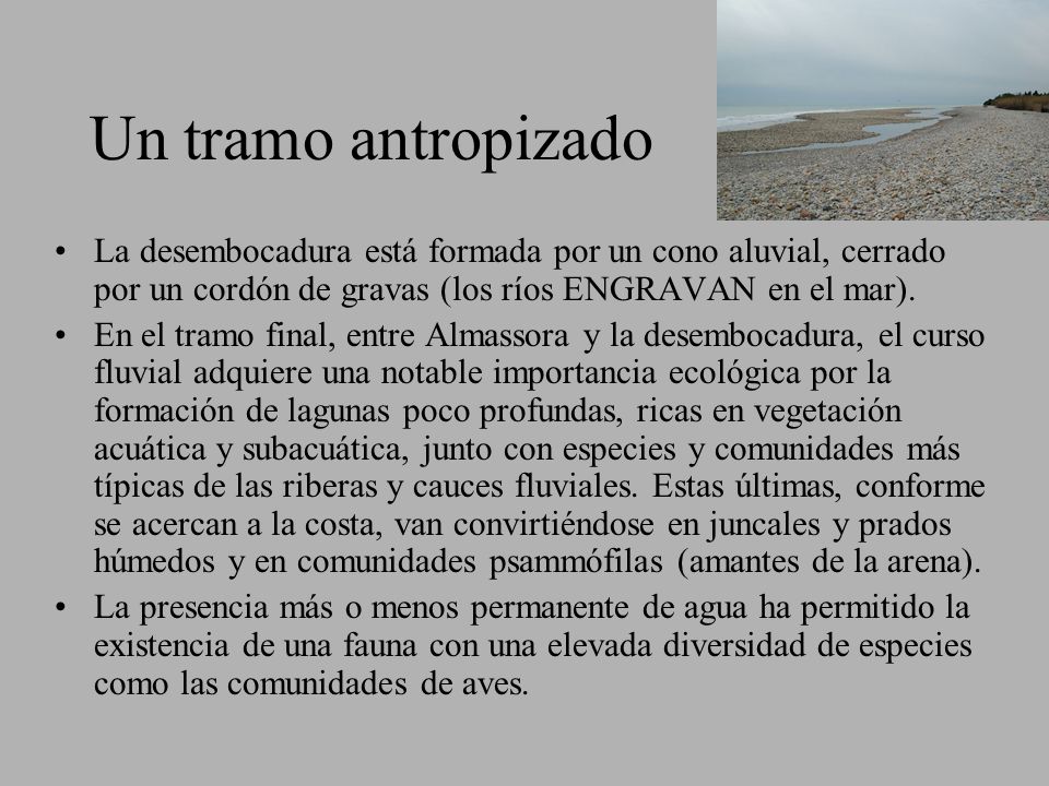 Un tramo antropizado La desembocadura está formada por un cono aluvial, cerrado por un cordón de gravas (los ríos ENGRAVAN en el mar).