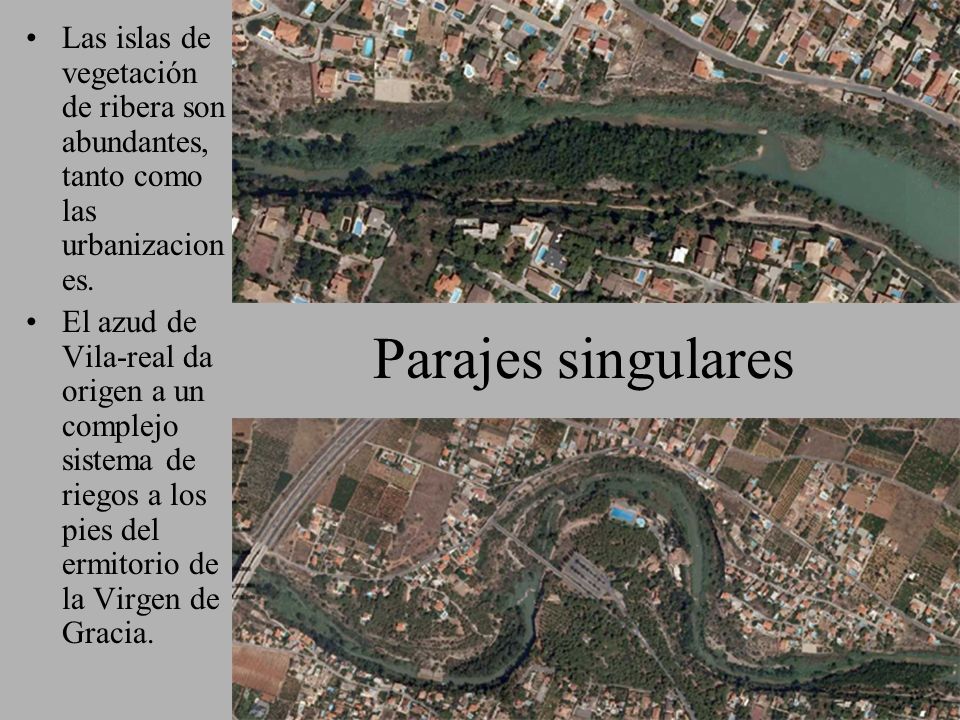Las islas de vegetación de ribera son abundantes, tanto como las urbanizaciones.