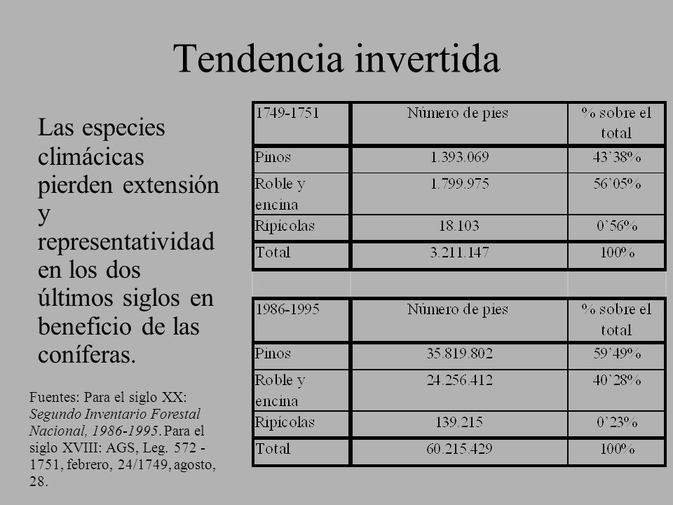 Tendencia invertida Las especies climácicas pierden extensión y representatividad en los dos últimos siglos en beneficio de las coníferas.