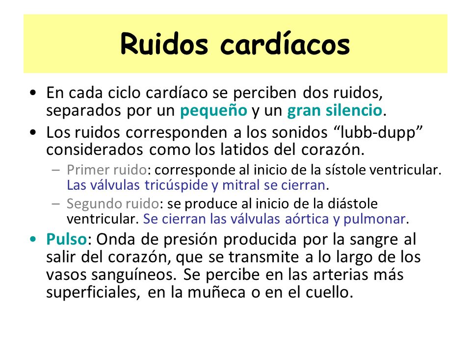 Ruidos cardíacos En cada ciclo cardíaco se perciben dos ruidos, separados por un pequeño y un gran silencio.