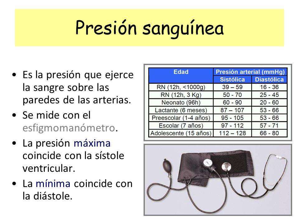Presión sanguínea Es la presión que ejerce la sangre sobre las paredes de las arterias. Se mide con el esfigmomanómetro.
