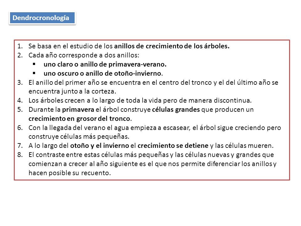 Dendrocronología Se basa en el estudio de los anillos de crecimiento de los árboles. Cada año corresponde a dos anillos: