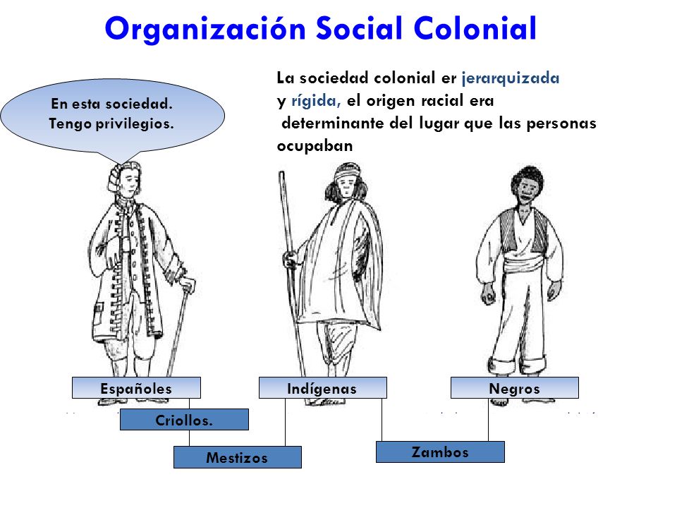 Organización Social Colonial