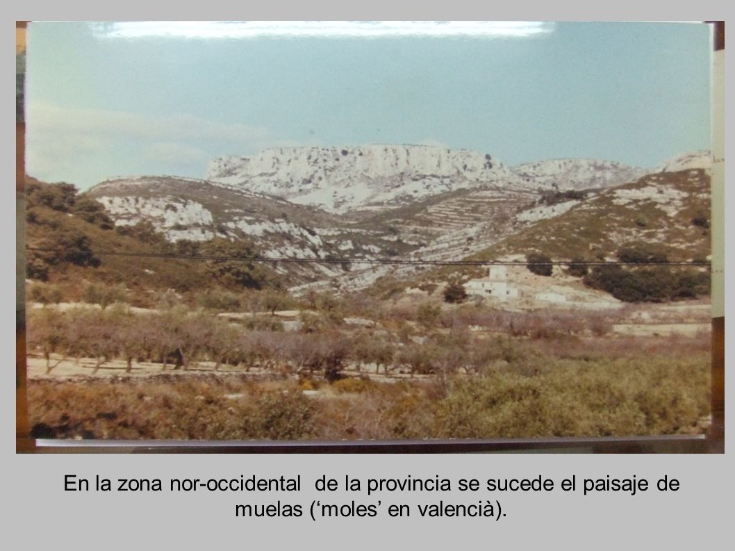 En la zona nor-occidental de la provincia se sucede el paisaje de muelas (‘moles’ en valencià).