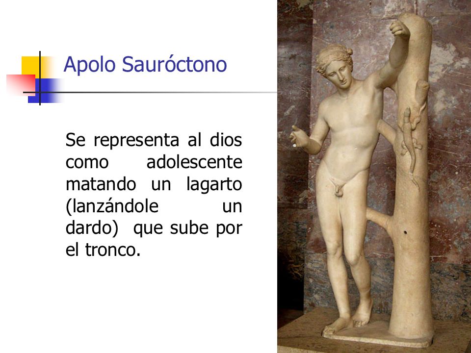 Apolo Sauróctono Se representa al dios como adolescente matando un lagarto (lanzándole un dardo) que sube por el tronco.