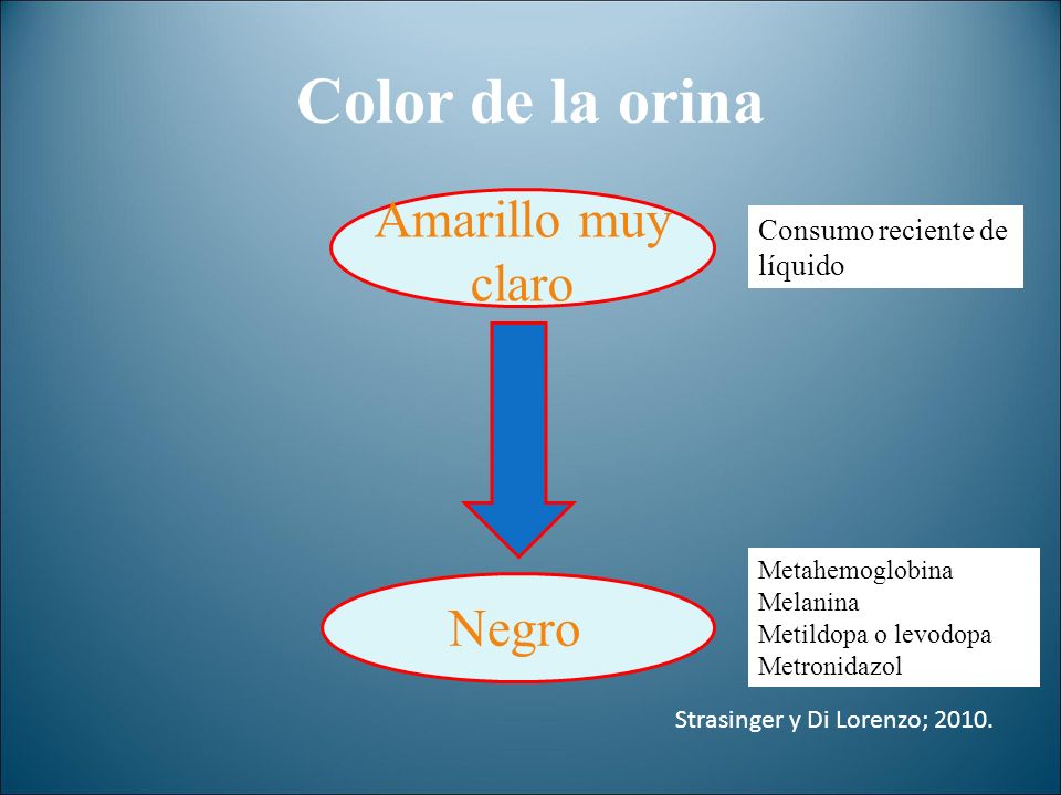 Color de la orina Amarillo muy claro Negro Consumo reciente de líquido