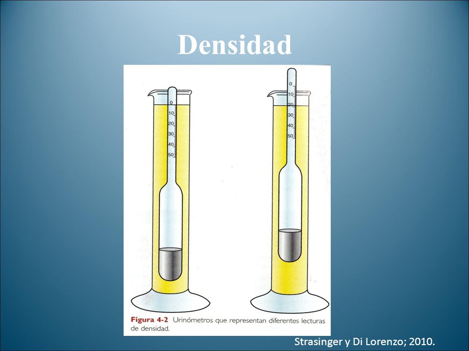 Densidad Strasinger y Di Lorenzo; 2010.