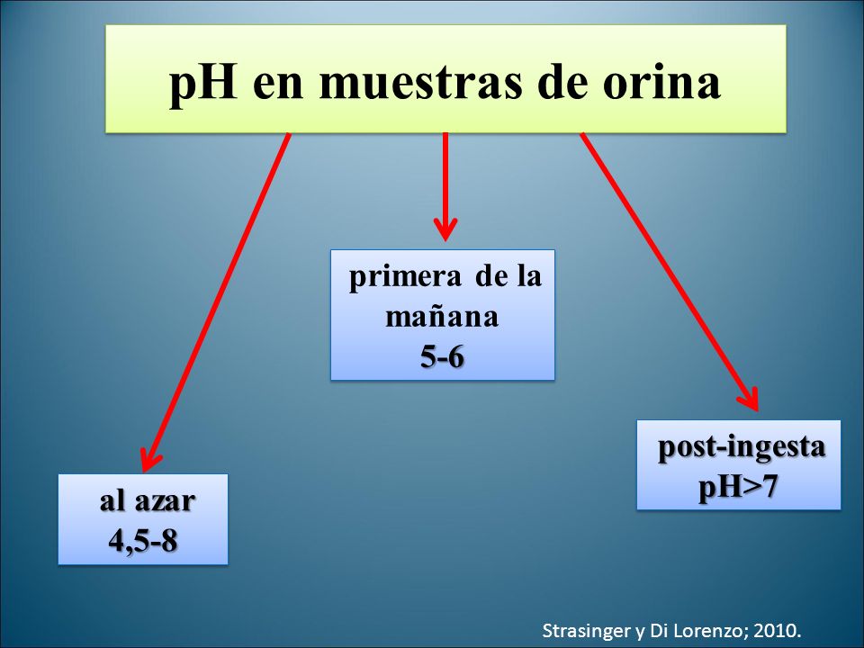 pH en muestras de orina primera de la mañana 5-6 post-ingesta pH>7
