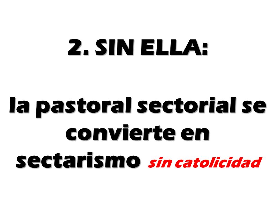 2. SIN ELLA: la pastoral sectorial se convierte en sectarismo sin catolicidad