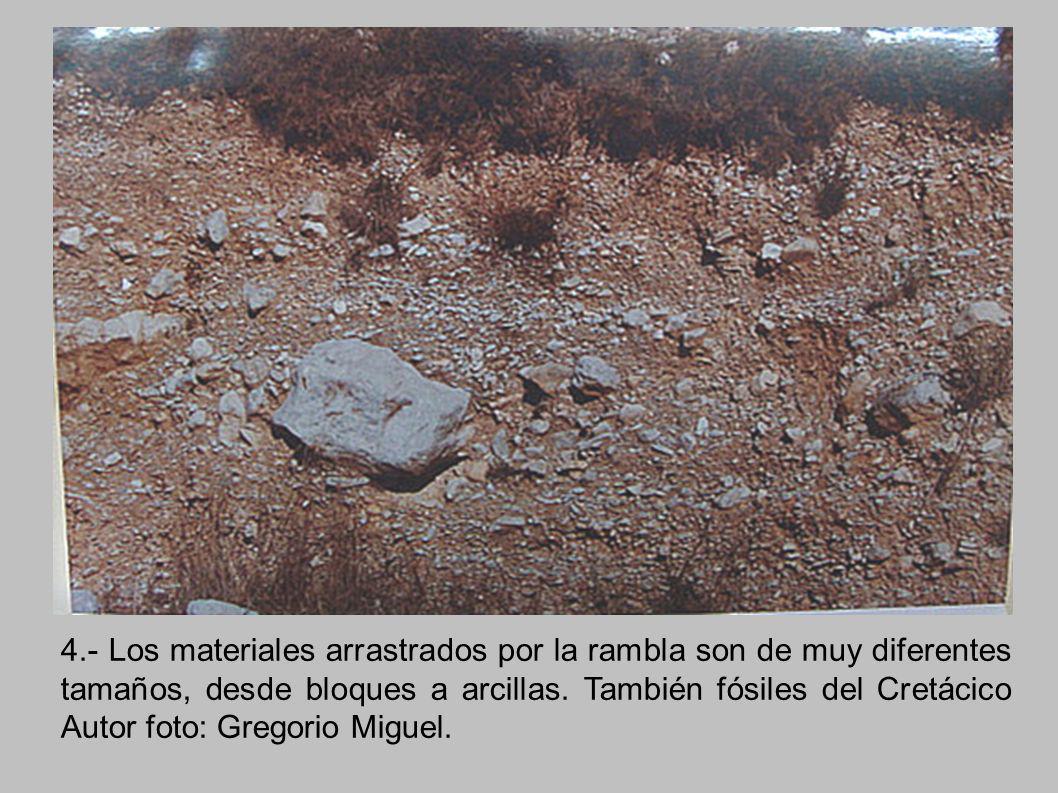4.- Los materiales arrastrados por la rambla son de muy diferentes tamaños, desde bloques a arcillas.