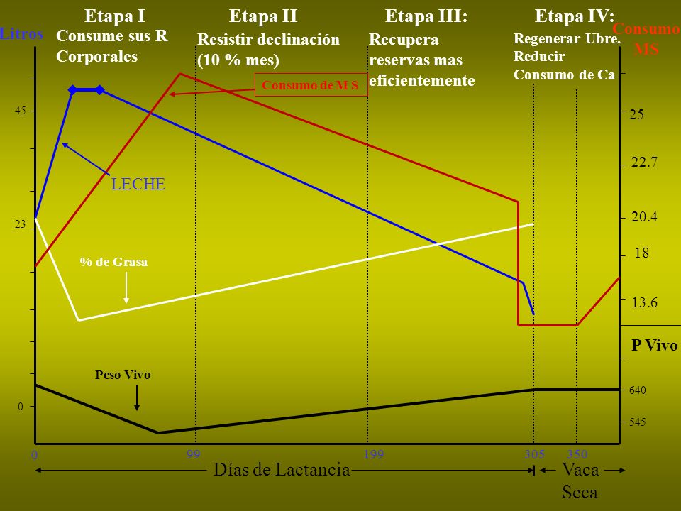 Etapa I Etapa II Etapa III: Etapa IV: Días de Lactancia Vaca Seca