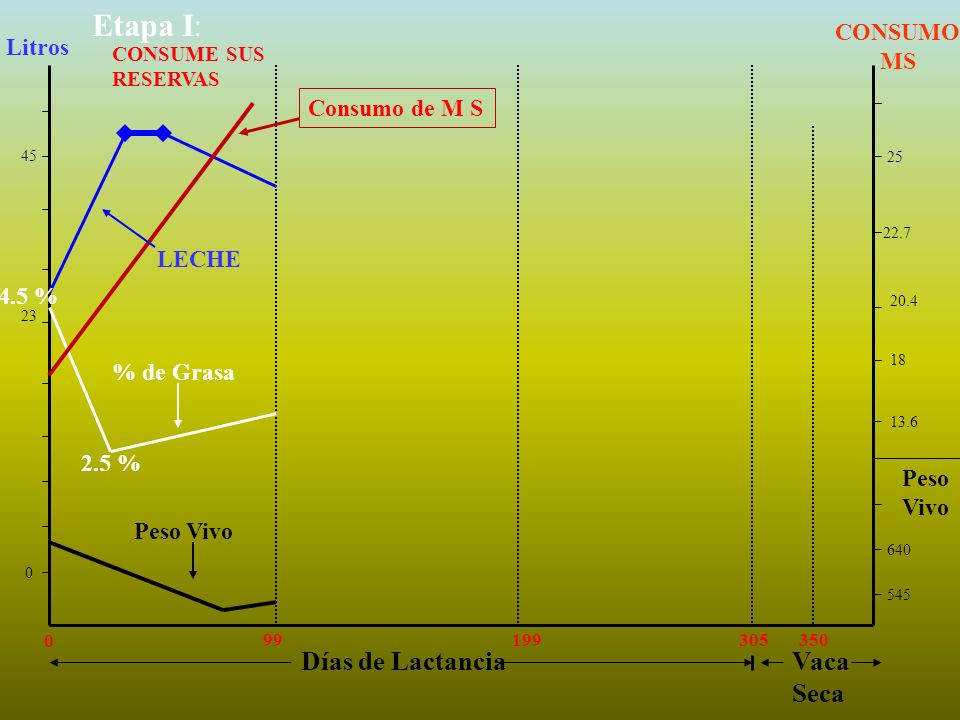 Etapa I: Días de Lactancia Vaca Seca CONSUMO MS Litros Consumo de M S